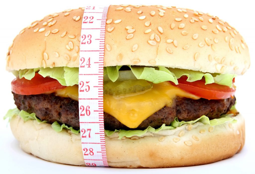 hamburger obesity